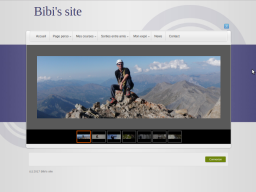 Sites vitrine